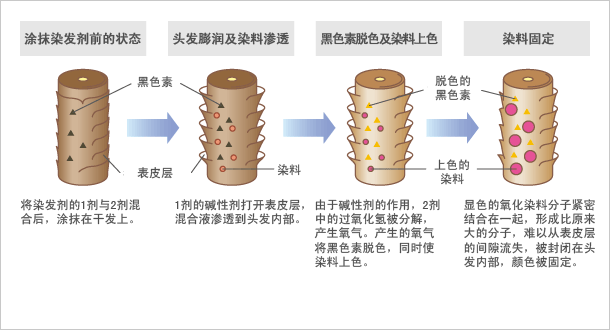 染发过程