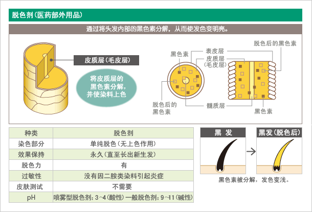 染发剂的种类和特征