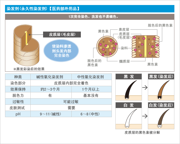 染发剂永久性染发剂【医药部外用品】