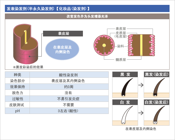 发表染发剂半永久染发剂【化妆品(化妆品染发剂)】