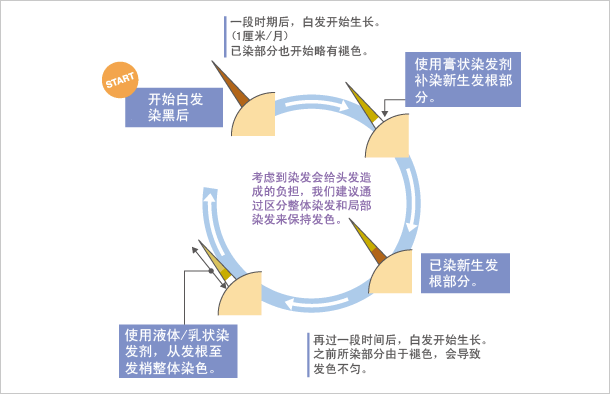 头发周期的变化实例