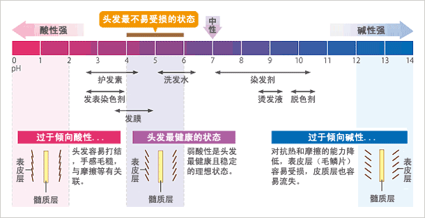 头发的健康和酸碱性